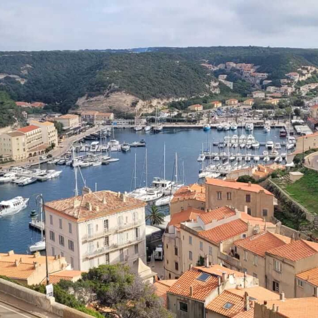 20241024_165153000_iOS